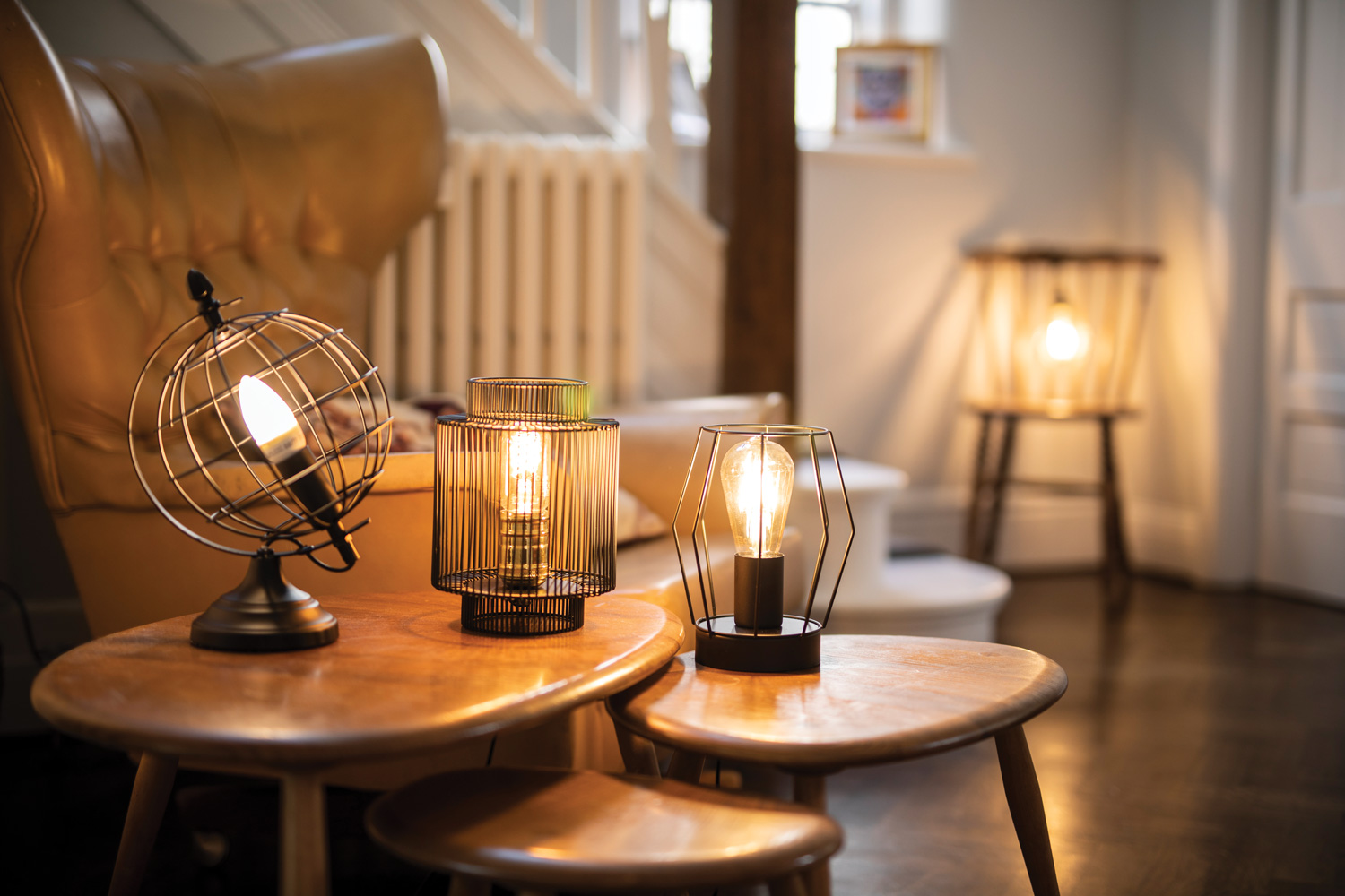 cage desk lamp